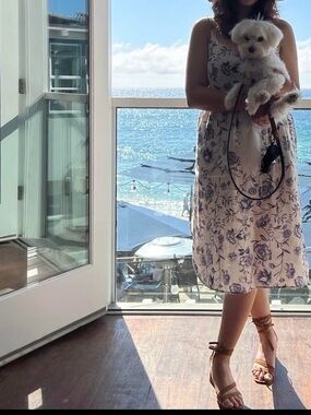 Cynthia Rowley White and blue  Floral midi dress US6